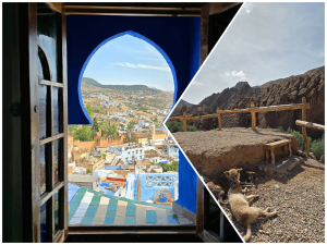 9 days tour from casablanca