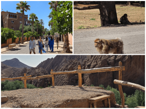 9 days tour from marrakesh