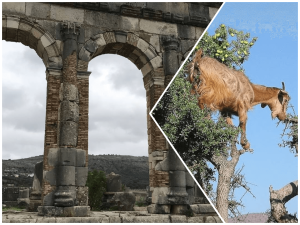 Morocco tours From tangier