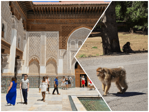 Morocco tours from Tangier