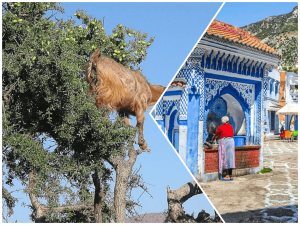 tours from tangier Morocco